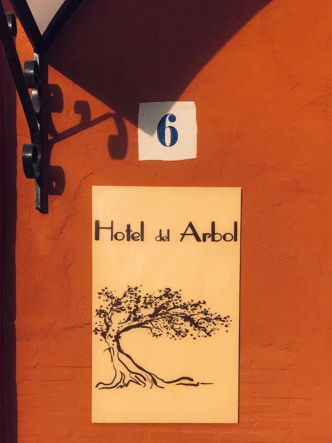 Hotel Del Arbol 사티바 외부 사진